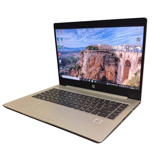 Ноутбук HP ProBook 445R G6  Intel Core i5-8265U 8 GB RAM 256 GB SSD Intel UHD Graphics 620