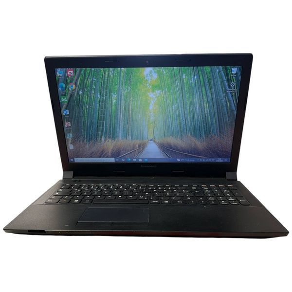 Ноутбук Lenovo  Intel Celeron N2840 8 GB RAM 500 GB HDD Intel HD Graphics